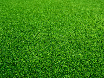 Artificial Turf New Orleans, LA