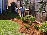 Landscape Plants, Kenner, LA