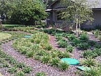 Landscape Pathway, Metairie, LA