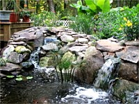 Stream Waterfall, West Bank, LA