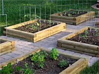 Organic Plant Beds, River Ridge, LA