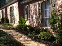 Landscape Trees, Slidell, LA