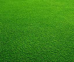 Artificial Turf